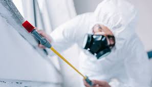 Best Residential Pest Control  in Reedurban, OH